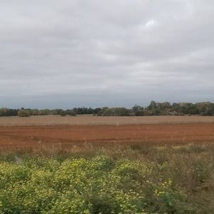 Meet your Posher, Fireblaze